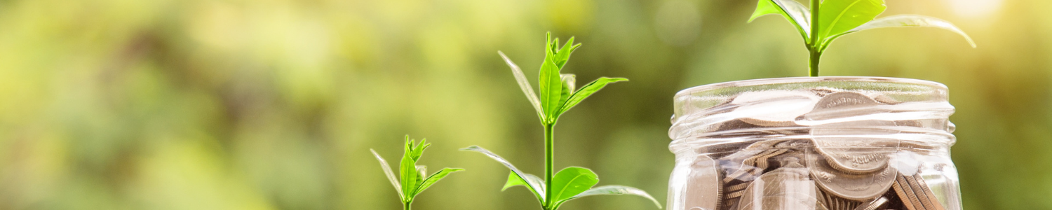 Understanding Ethical Investing